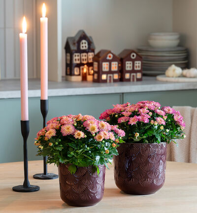 Ginko blomsterpotte mørk lilla 14 cm Ginko blomsterpotte mørk lilla 14 cm